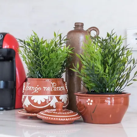 Guestready - Coral Appartamento