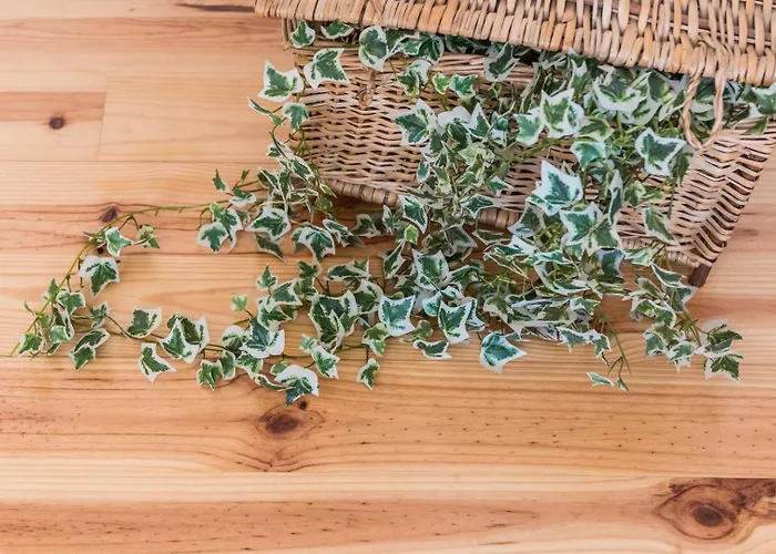 Guestready - Coral * Oporto